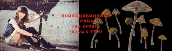 хмурый Протвино