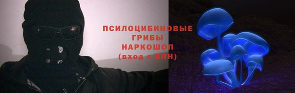 мдпв Пролетарск