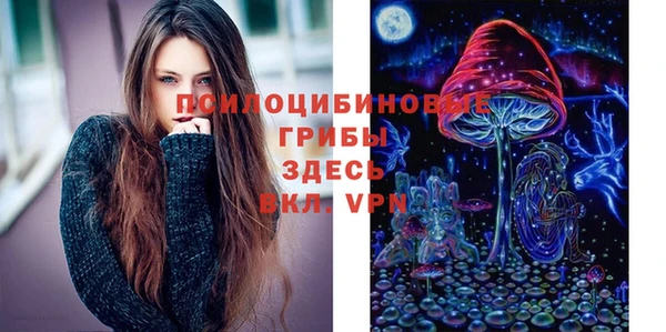 хмурый Протвино