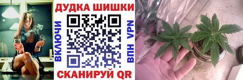Канабис ГИДРОПОН  даркнет сайт  площадка Telegram  Семикаракорск 